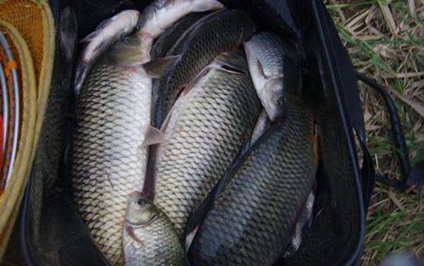 ���㲻�ܳ���������