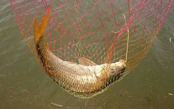 ���㲻�ܳ���������