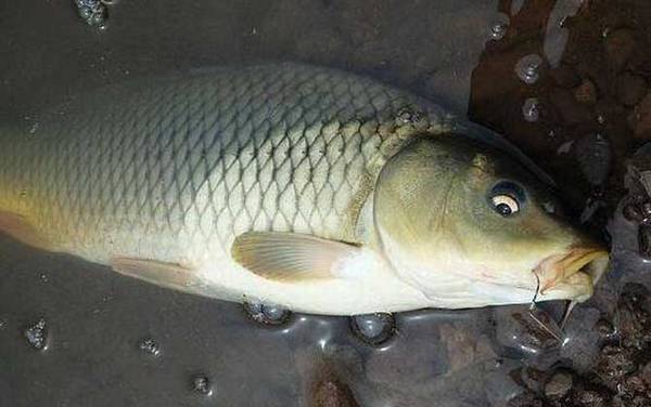 ���㼸�·ݿ��ڳ����ף�