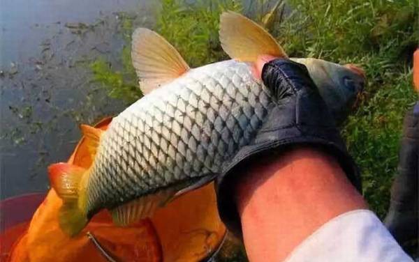 ����һ��������ѣ�