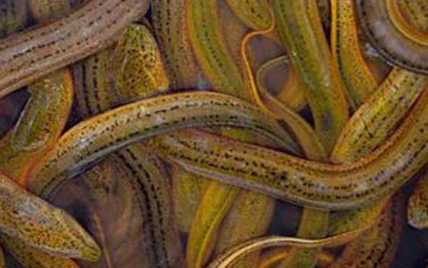 �����ǲ������ࣿ