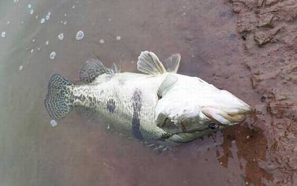 ���������ϰ�Լ��ص�