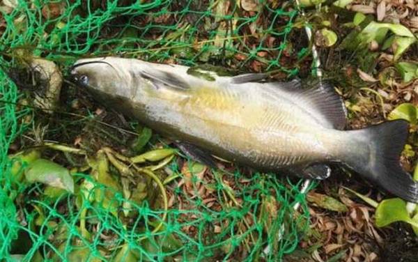 �������ʲô�㣿