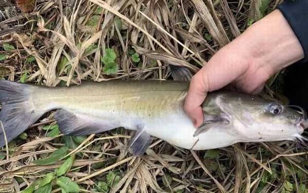 �������ʲô�㣿