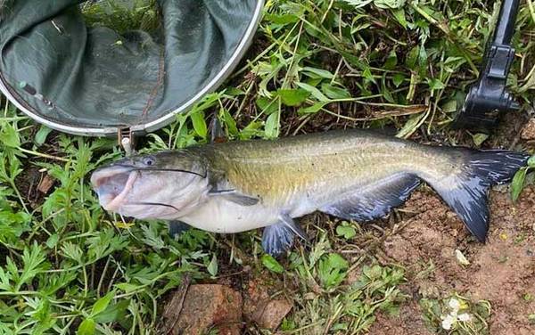 �������ʲô�㣿