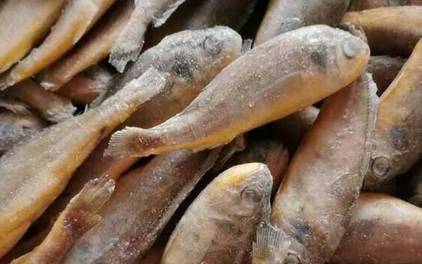 ʯ������ʲô�㣿