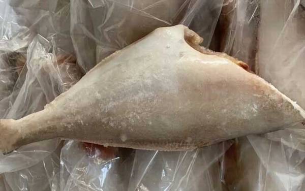 剥皮鱼是什么鱼?