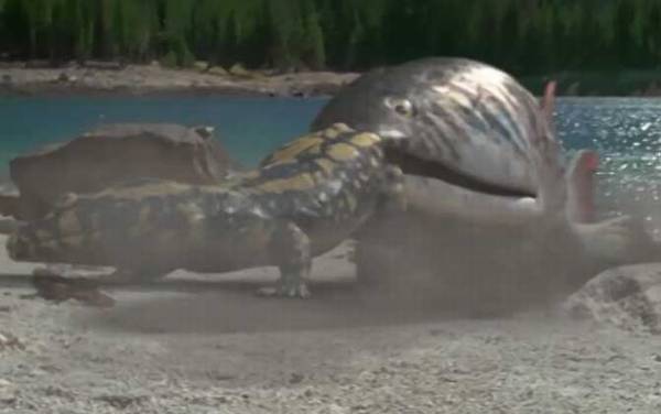 含肺鱼是什么鱼?