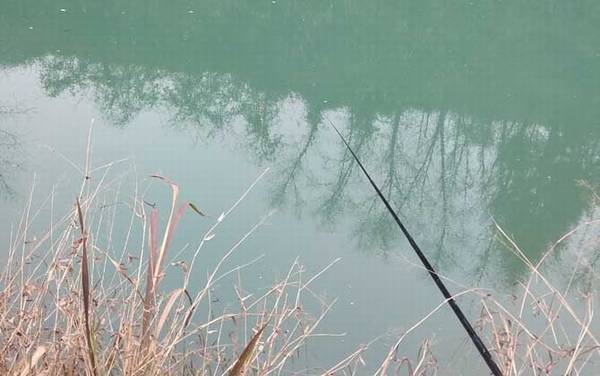 初冬钓鲫鱼用什么饵料?