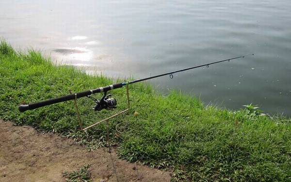 春天钓鱼用什么饵料?