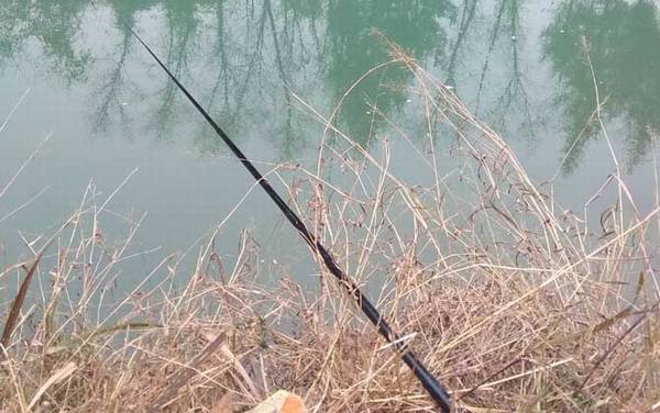 春天钓鱼用什么饵料?