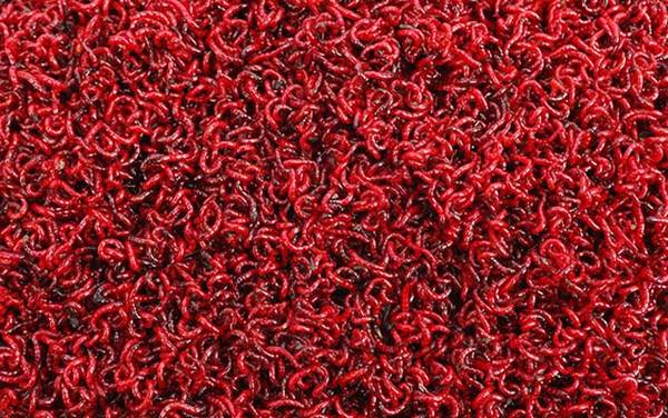 红虫保存温度多少合适?