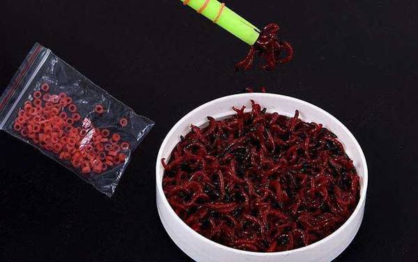 红虫的危害有哪些?