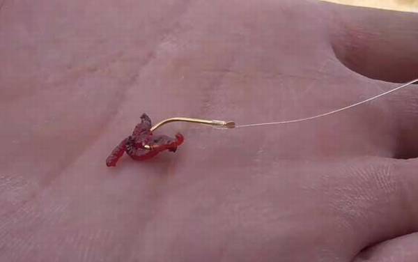 红虫直接挂钩好还是用皮筋好?