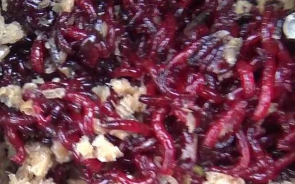 红虫直接挂钩好还是用皮筋好?