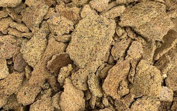 用什么打窝大鲫鱼最多?