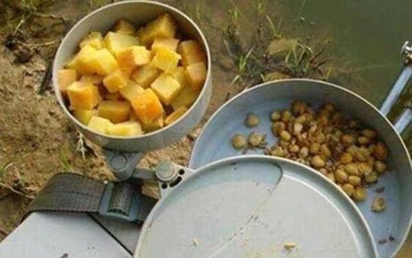 鲤鱼最爱吃的天然饵料有哪些?