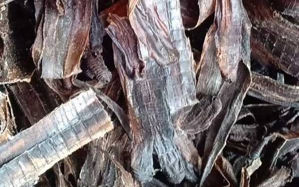 蚯蚓干价格多少钱一斤?