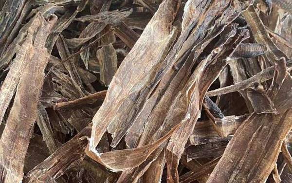 蚯蚓干价格多少钱一斤?