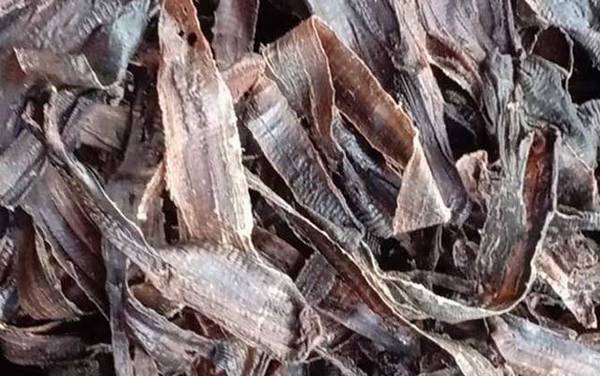 蚯蚓干价格多少钱一斤?