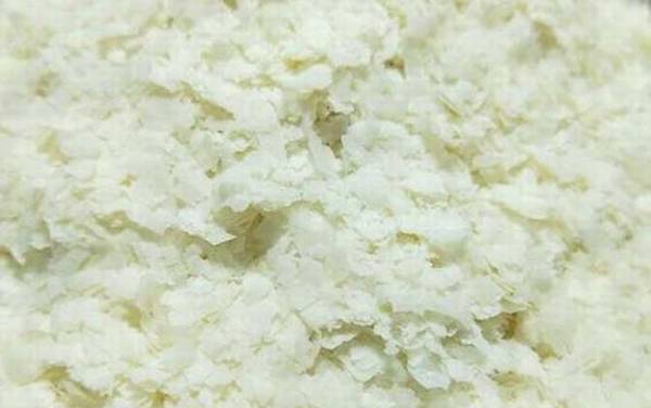 蚯蚓沾什么钓鱼最快?