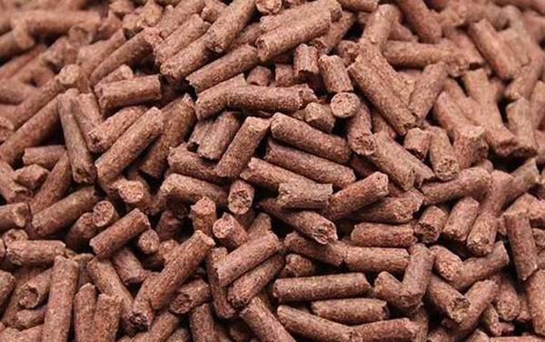 蚯蚓沾什么钓鱼最快?