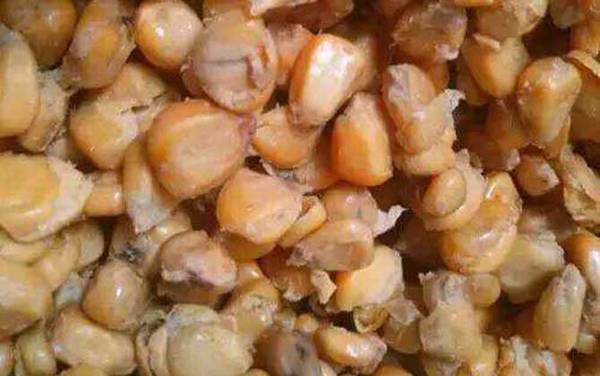 ����������ʲô������ã�