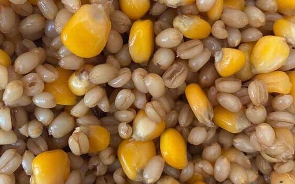 ����������ʲô������ã�