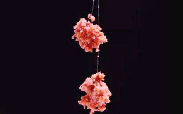 一月钓鱼用什么饵料?