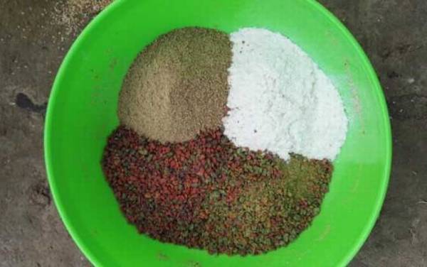 三月钓鱼用什么饵料最好?