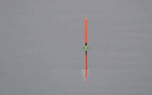 三月份用什么味型饵料钓鱼?