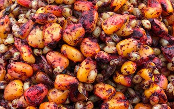 四月份用玉米粒可以钓鱼吗?