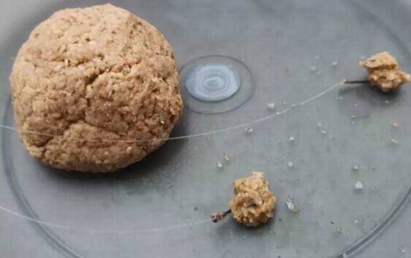 初夏钓鱼用腥饵还是香饵?