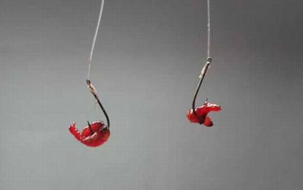 五月钓鱼用红虫还是蚯蚓?