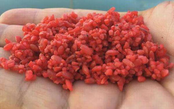 深秋钓鱼用什么打窝最好?