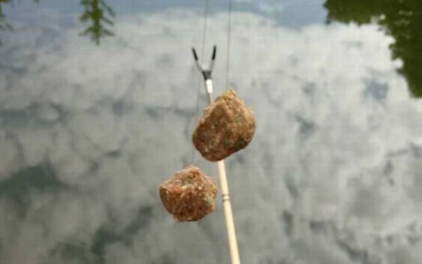 秋季钓鱼用什么饵料最好?