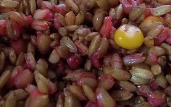 秋季钓鱼用什么窝料最好?