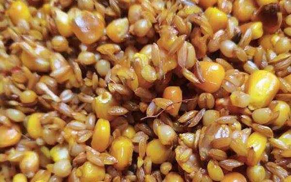 八月钓鱼用什么饵料最好?