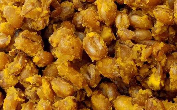 九月钓鱼用什么饵料?