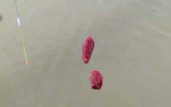 九月钓鱼用什么味型饵料?