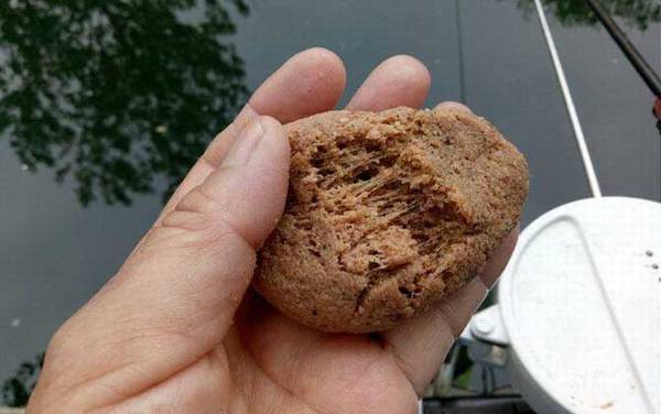 十月钓鱼用什么味型饵料?