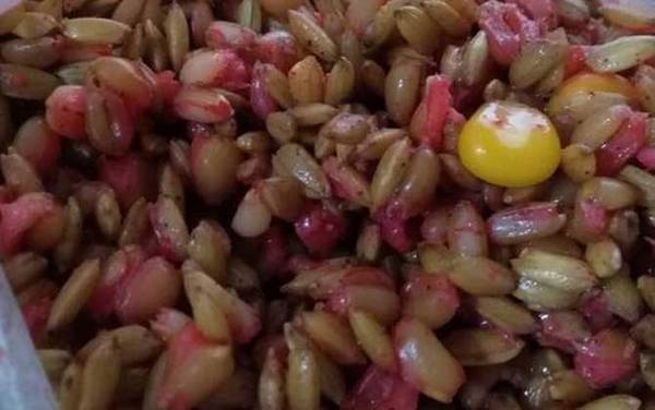 初冬钓鱼用什么打窝好?