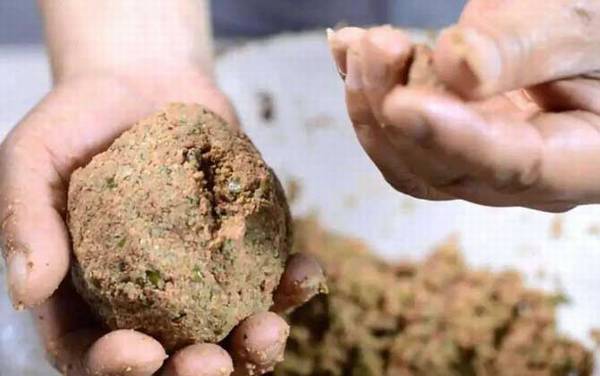 冬季钓鱼什么饵料最适合?