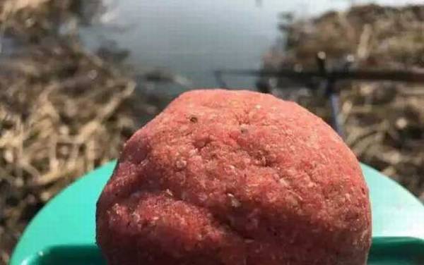 冬季钓鱼什么饵料最适合?