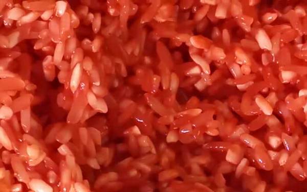 冬季钓鱼打窝用什么窝料最好?