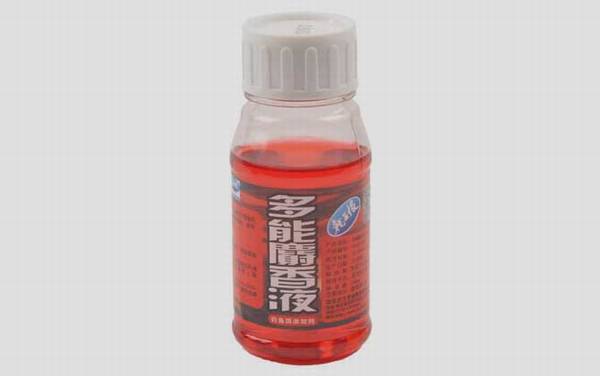 冬季钓鱼加什么小药?