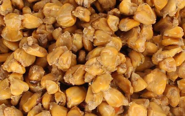 老三样用什么打窝?