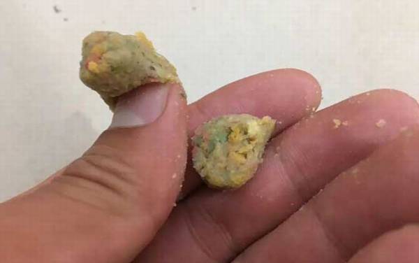 十二月份钓鱼用什么饵料?