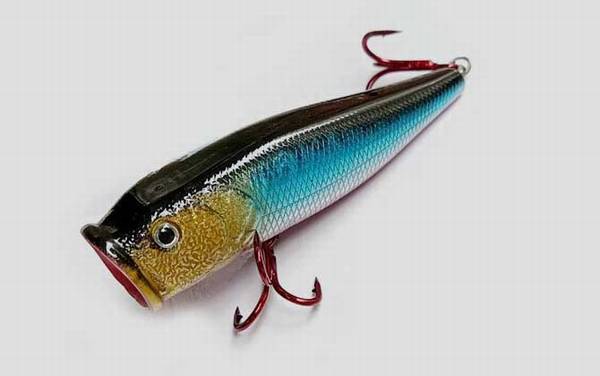 路亚鳡鱼用什么假饵?