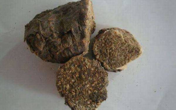 阿魏钓鱼怎么用?